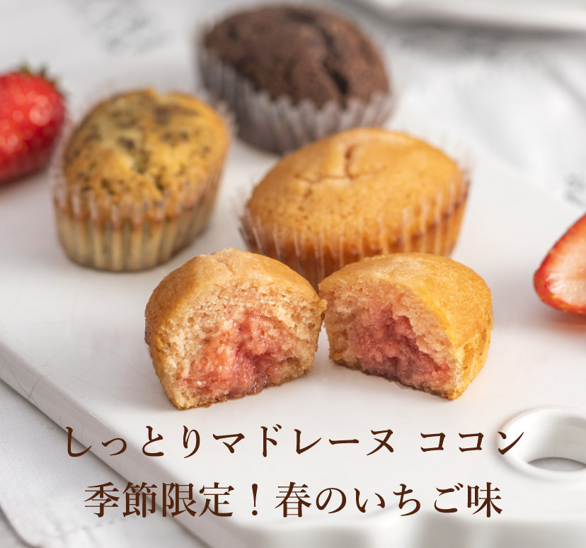 しっとりマドレーヌココン 季節限定のイタリアマロン