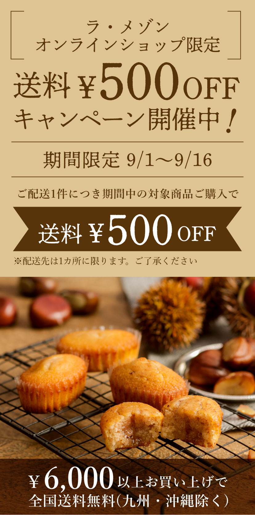 送料500円OFFキャンペーン開催中！