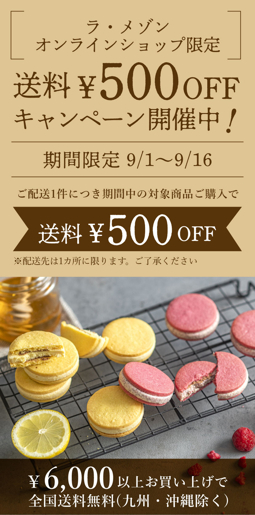 送料500円OFFキャンペーン開催中！