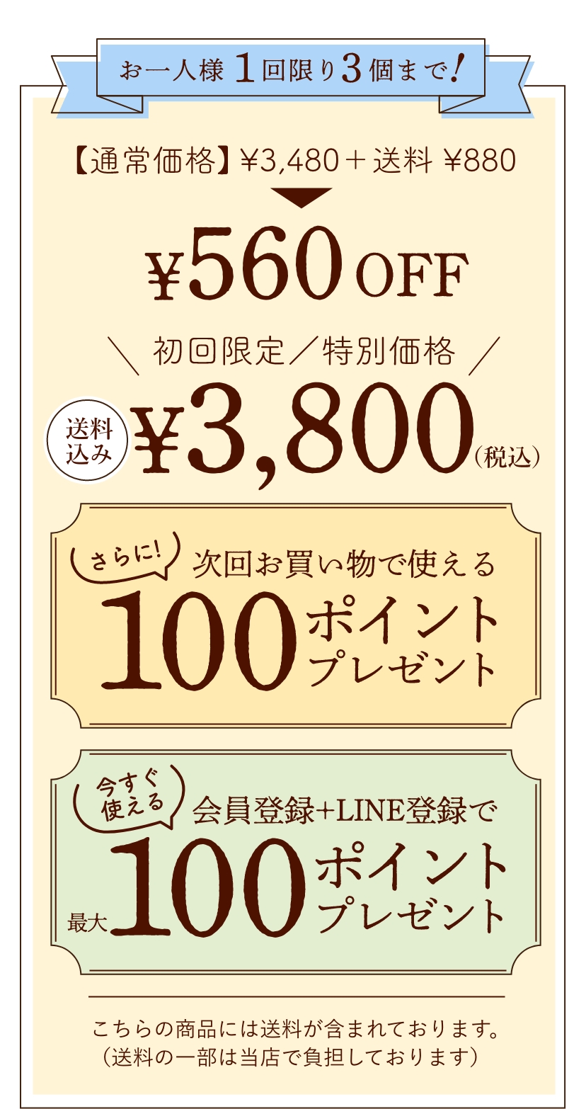 【PE-CASTER】3000S 品 全国一律送料880円