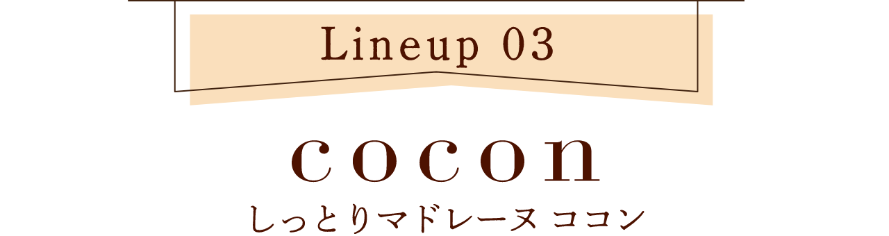 【ラインナップ3】しっとりマドレーヌ ココン