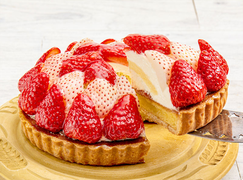 3月1日以降のお届け》コーラルベリー 紅ほっぺと白雪小町の紅白タルト