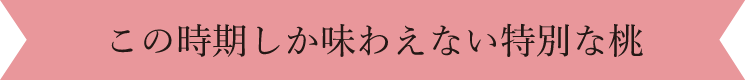 この時期しか味わえない特別な桃