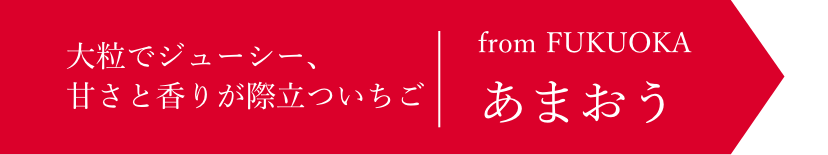 「あまおう」大粒でジューシー、甘さと香りが際立ついちご