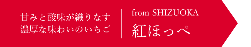 「紅ほっぺ」甘みと酸味が織りなす濃厚な味わいのいちご
