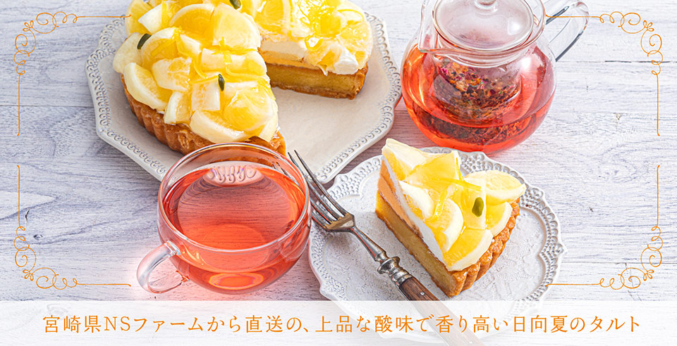 宮崎県NSファームから直送の、上品な酸味で香り高い日向夏のタルト