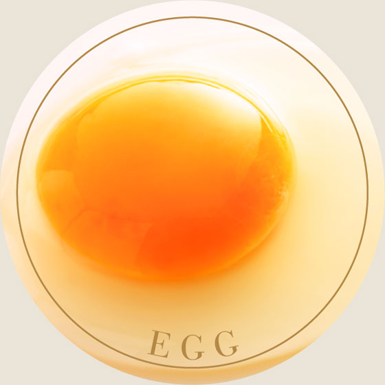 EGG